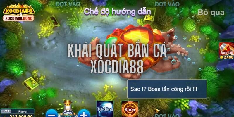 Khái quát sân chơi đỉnh cao hot nhất xocdia88