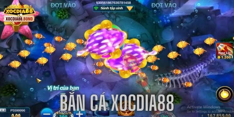 ban ca xocdia88 thumb