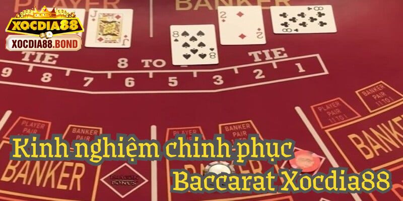 Bạn không nên đặt tiền vào cửa Hòa tại Baccarat Xocdia88