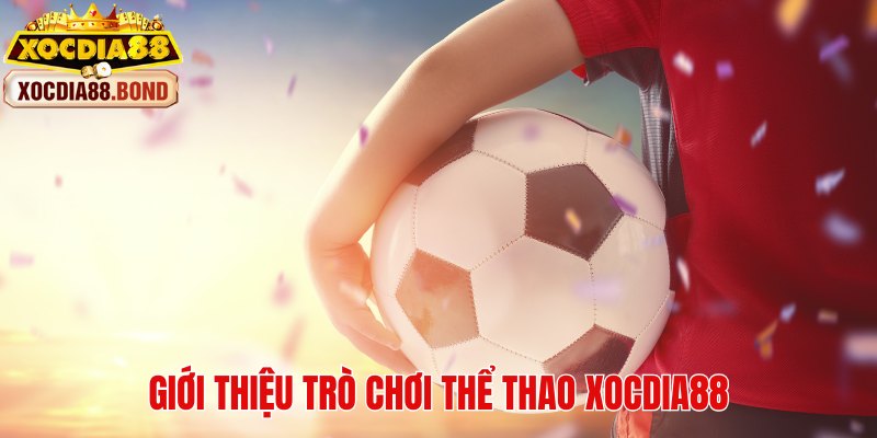 Thông tin sơ lược về sân chơi thể thao Xocdia88 